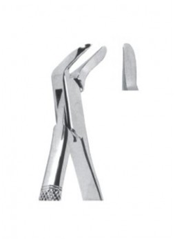 Extracting Forceps